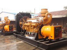 保定发电机组的频率规格是如何确定的？